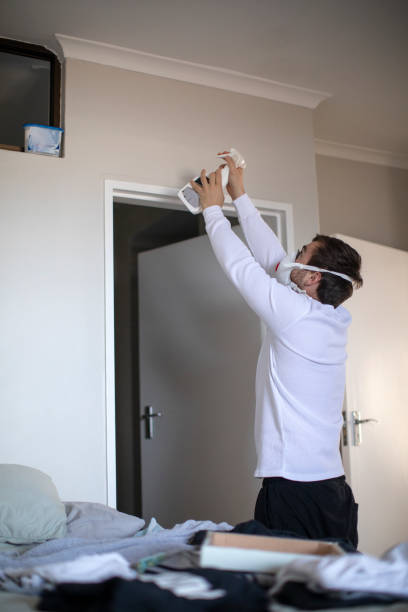Best Comprehensive Air Testing for Mold Contaminants  in Northdale, FL