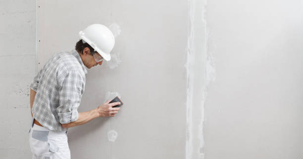 Best Mold Damage Restoration  in Northdale, FL