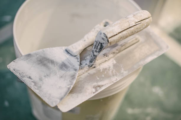 Best Crawl Space Mold Remediation  in Northdale, FL
